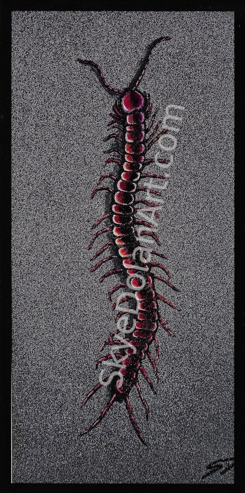 Centipede by Skye Dolan