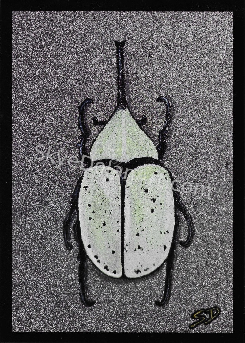 Hercules Beetle by Skye Dolan