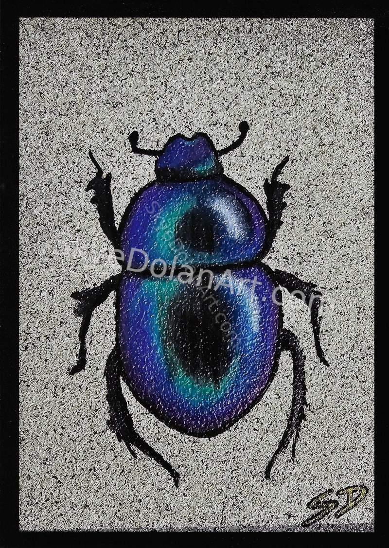 Rainbow Beetle by Skye Dolan