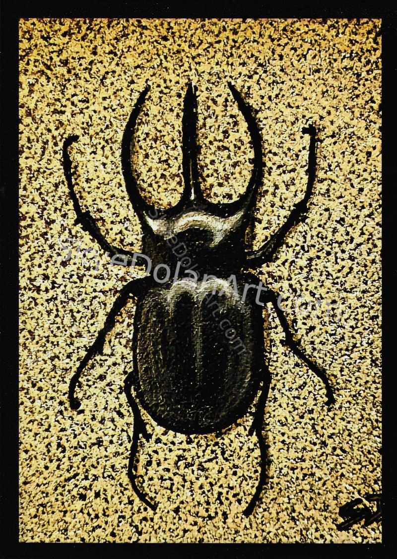 Rhinoceros Beetle by Skye Dolan